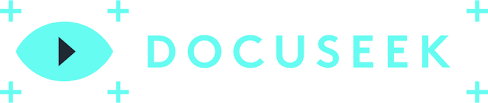 Docuseek logo