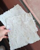 PXL_20240625_142936036.PORTRAIT