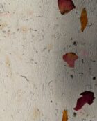 PXL_20240626_232859005a