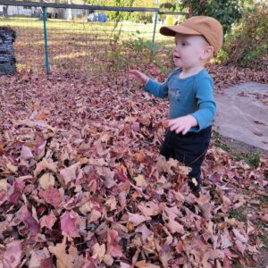 Hank and leaves